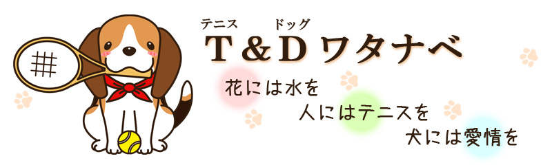 T&Dワタナベ